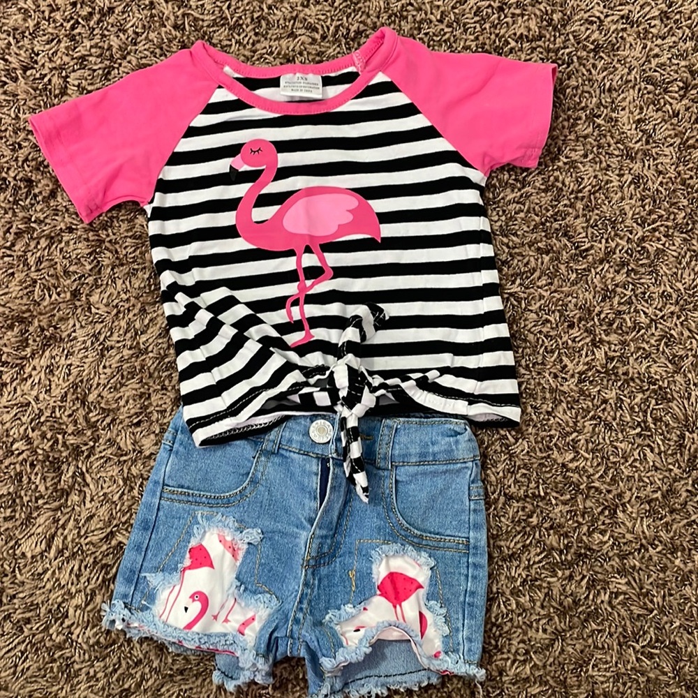 Toddler Girl Flamingo Shirt/blue Jean short set
